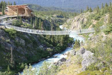 Skagway: Yukon Suspension Bridge & Summit Tour
