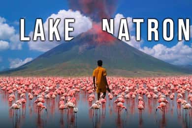 2Days Magical Lake Natron Safari