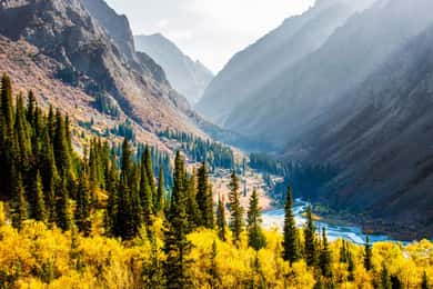 Fra Bishkek: Halvdagsudflugt til Ala-Archa Nationalpark