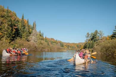 Toronto: Algonquin Park and Ragged Falls Day Trip