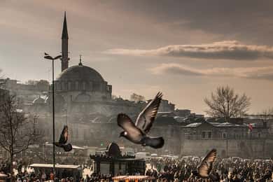 Estambul: Tour de día completo con guía privado