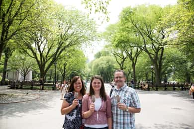 Nova Iorque: Excursão a pé pelos locais de filmagem do Central Park