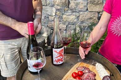 Béziers : Explore the Faugères Vineyards with a Picnic