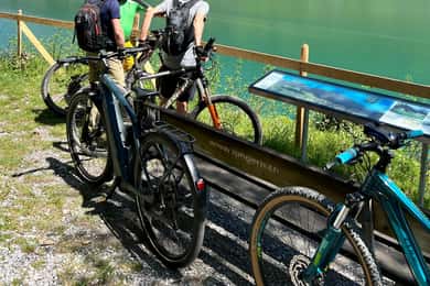 Lucerne: 4 Lakes E-Bike & Lake Lucerne Cruise Private Tour