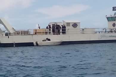 Ιδιωτική περιήγηση με βανάκι στις Βερμούδες, ξενάγηση στην ακτή