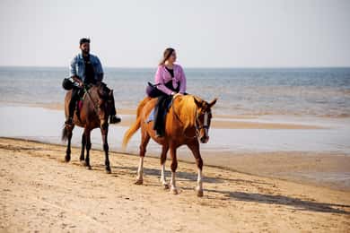 Passeio a cavalo em Riga ao longo da praia