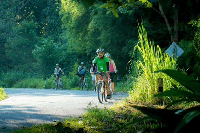 Paseo en bicicleta eléctrica por la campiña de Chiang Mai con guía experto y almuerzo