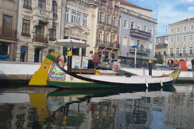 Von Porto aus: Aveiro & Coimbra-Tour mit Moliceiro-Bootsfahrt