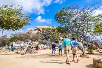 Discover the Island of Aruba: 4-Hour Bus Tour & Snorkel