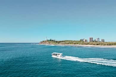 Mooloolaba: Adventure Rafting Turtle Tour