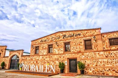 "Oro Bailén: Rondleiding door Oro Bailen Grove + Molen + Proeverij