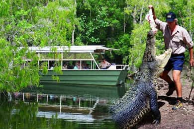 Desde Port Douglas Parque de Cocodrilos de Hartley, Skyrail y Tren