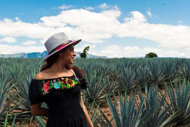 Tequila Full-Day Discovery Tour of Amatitan
