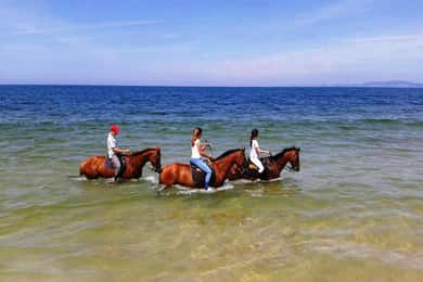 Horse riding on the beach, with private transfer from Lisbon