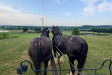 Gettysburg: Horse-Drawn Carriage Tour Countryside & Orchards