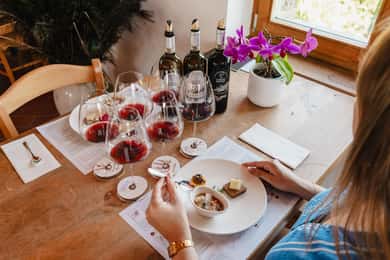 Montalcino: Guided Winery Tour & Gourmet Food Tasting