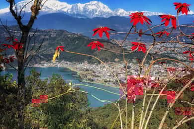 1 Day Pokhara Tour from Kathmandu by flight