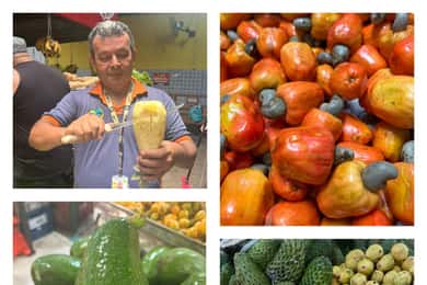Taste Tropical Brazilian Fruits at a Market in Fortaleza