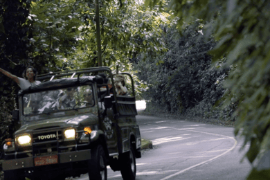 Rio de Janeiro: Jeep Tour in the Tijuca Forest