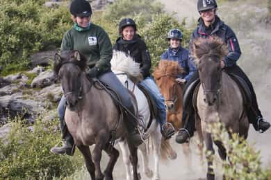 Från Reykjavík: Vikingatur på hästryggen i Hafnarfjörður