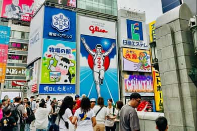 Osaka: Full-Day Sightseeing Guided Tour by Private Vehicle