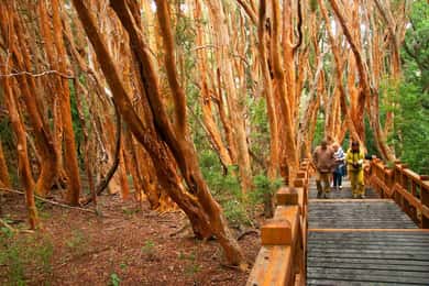 バリローチェ ヨット | GetYourGuide