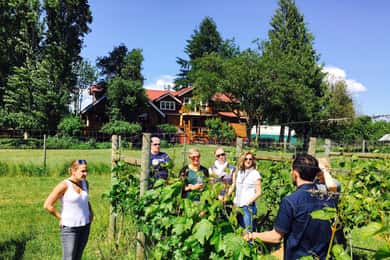 6-Hour Victoria to Cowichan Wine Tour