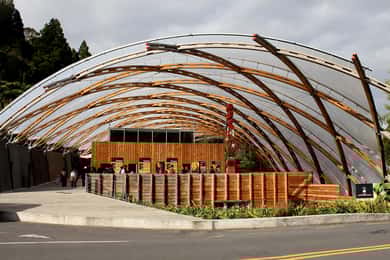 From Auckland: Waitomo Glowworm Cave Tour