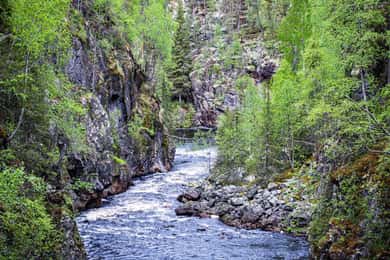 Rovaniemi: Korouoma Canyon och Auttiköngäs Falls Tour