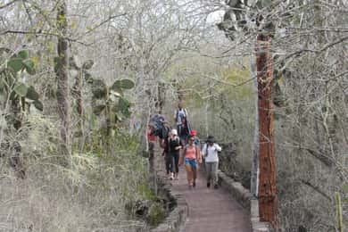 4 Day Galapagos Land Tour