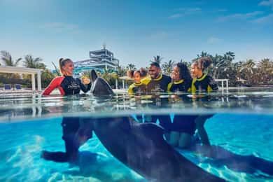 Biglietto per l'incontro con i delfini e il parco acquatico Aquaventure