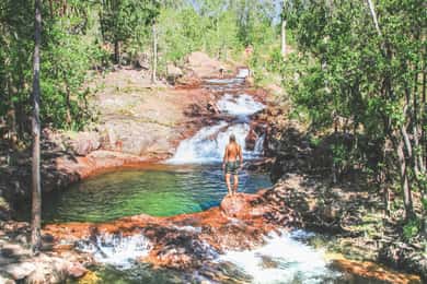 Da Darwin: Escursione di un giorno al Parco Nazionale di Litchfield