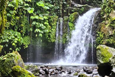Jungle Trekking at Mt. Batukaru, scenic Waterfall & village