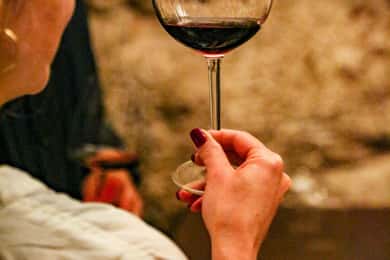 Altamura: Wine Museum Guided Tour with Tasting