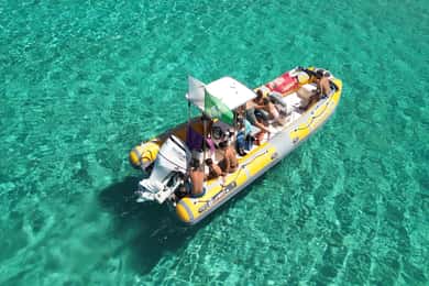 Stintino: Halbtägiger Ausflug zur Insel Asinara mit Aperitif an Bord