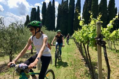 Salò: e-bike tour with wine tasting on Valtenesi Hills