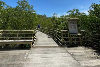 Manuel Antonio National Park: Vandring för djurskådning