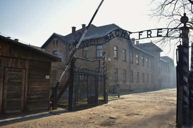 Desde Cracovia: visita guiada a Auschwitz-Birkenau con traslado