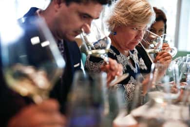 Santiago: Visita de 4 horas à adega Concha y Toro e aula de sommelier