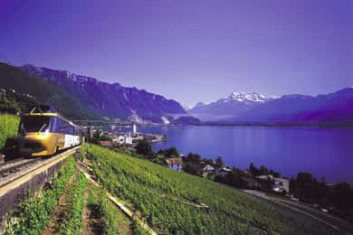From Lausanne: Gruyères Tour with Train, Chocolate & Cheese