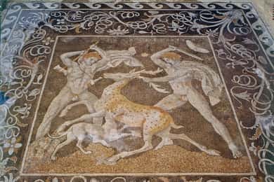 Desde Salónica: Excursión de un día a Pella y Vergina