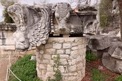 Från Kusadasi: Priene, Miletus och Didyma Privat tur