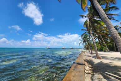 San Pedro: Beach BBQ Excursion + Add a Stay at Cozy Caye …