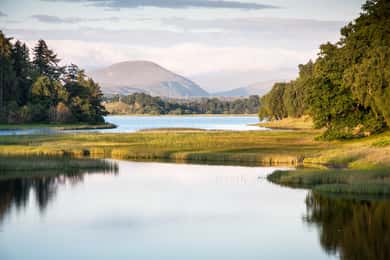 Au départ d'Inverness : Parc national de Cairngorms et excursion au Whisky