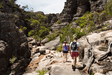 De Melbourne: Excursão em grupo ao Parque Nacional Grampians