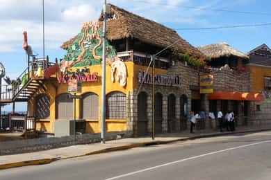 Excursão e praia em Montego Bay