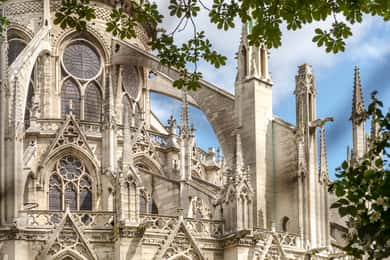 Paris: Guidad tur i Notre-Dame med tillträde till katedralen