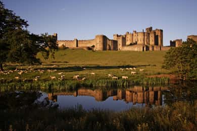 Vanuit Edinburgh: Heilig Eiland, Kasteel Alnwick & Northumbrië
