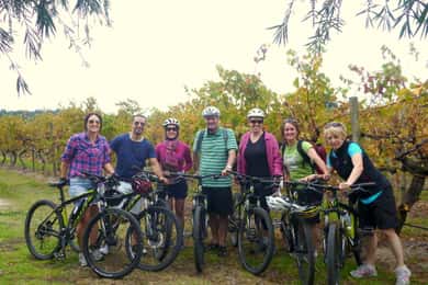Excursión en Bicicleta por las Colinas de Vinos y Vinos de Mclaren Vale desde Adelaida