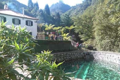 Eastern Madeira: Full-Day Tour with Rum Tasting